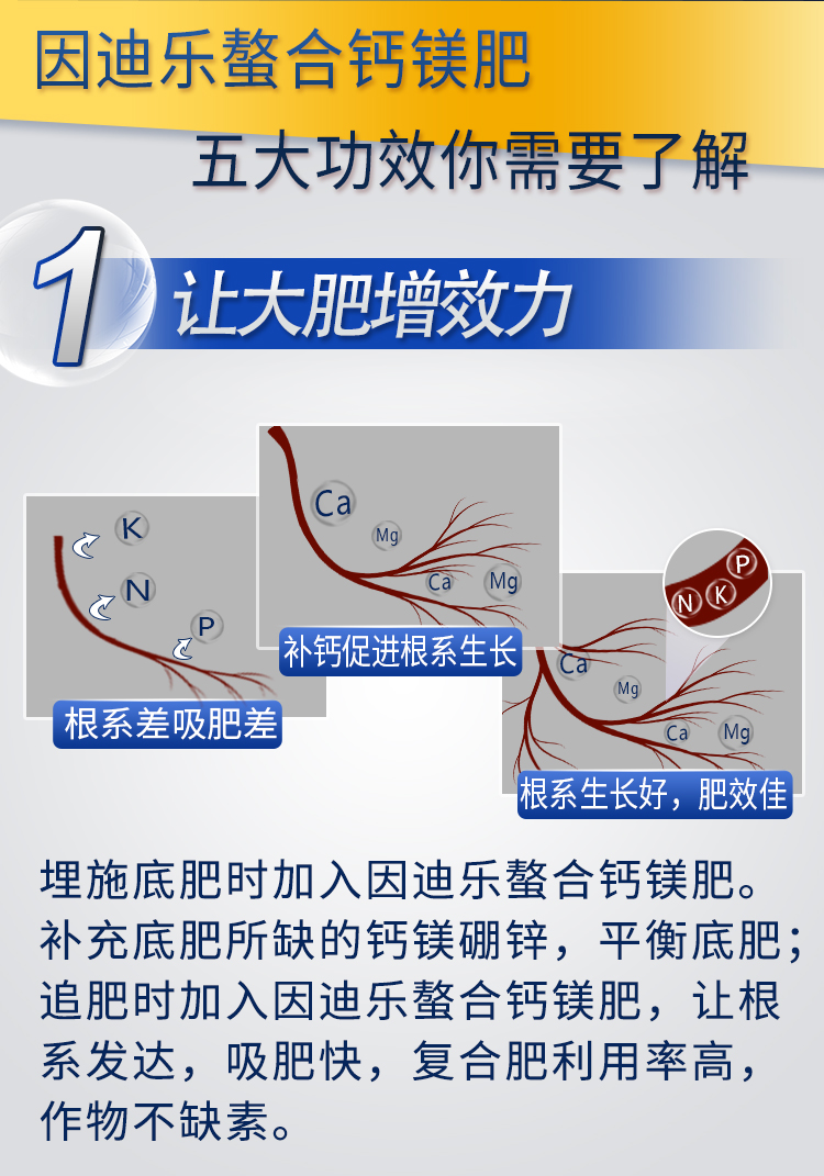 18因迪樂螯合鈣鎂肥【手機(jī)版】_06.jpg